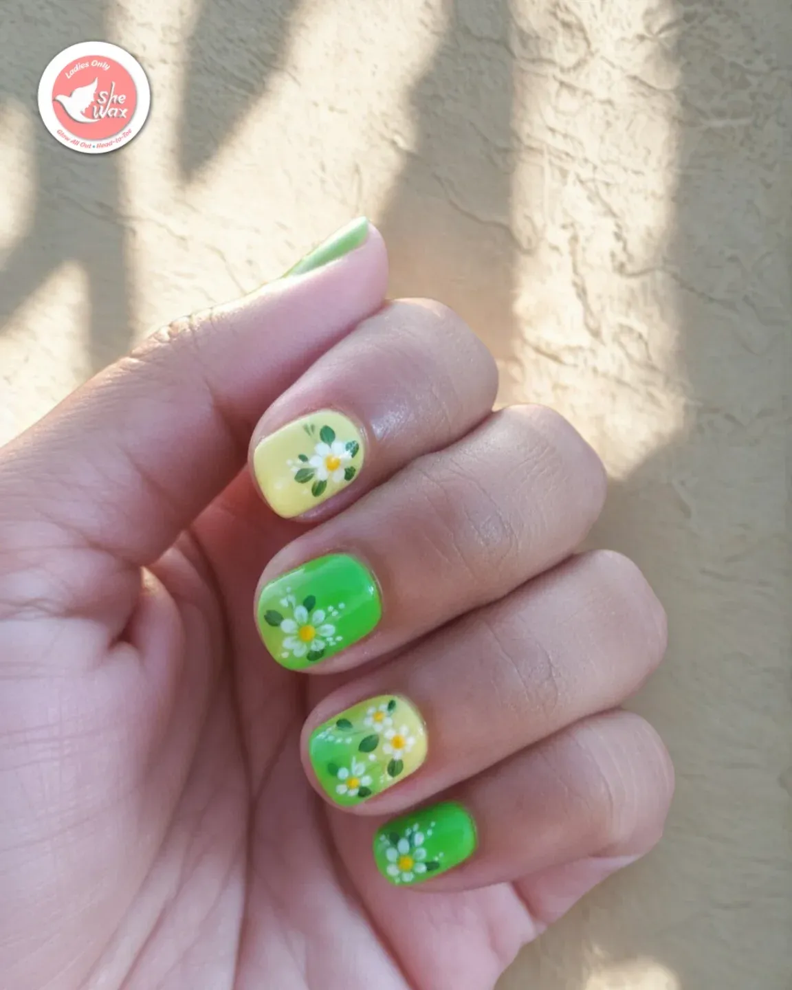 Green and yellow daisies