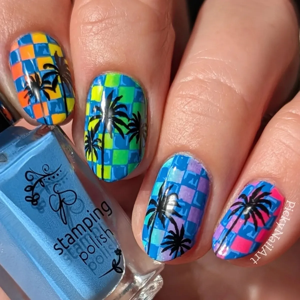 Palm tree silhouettes over colorful grid pattern