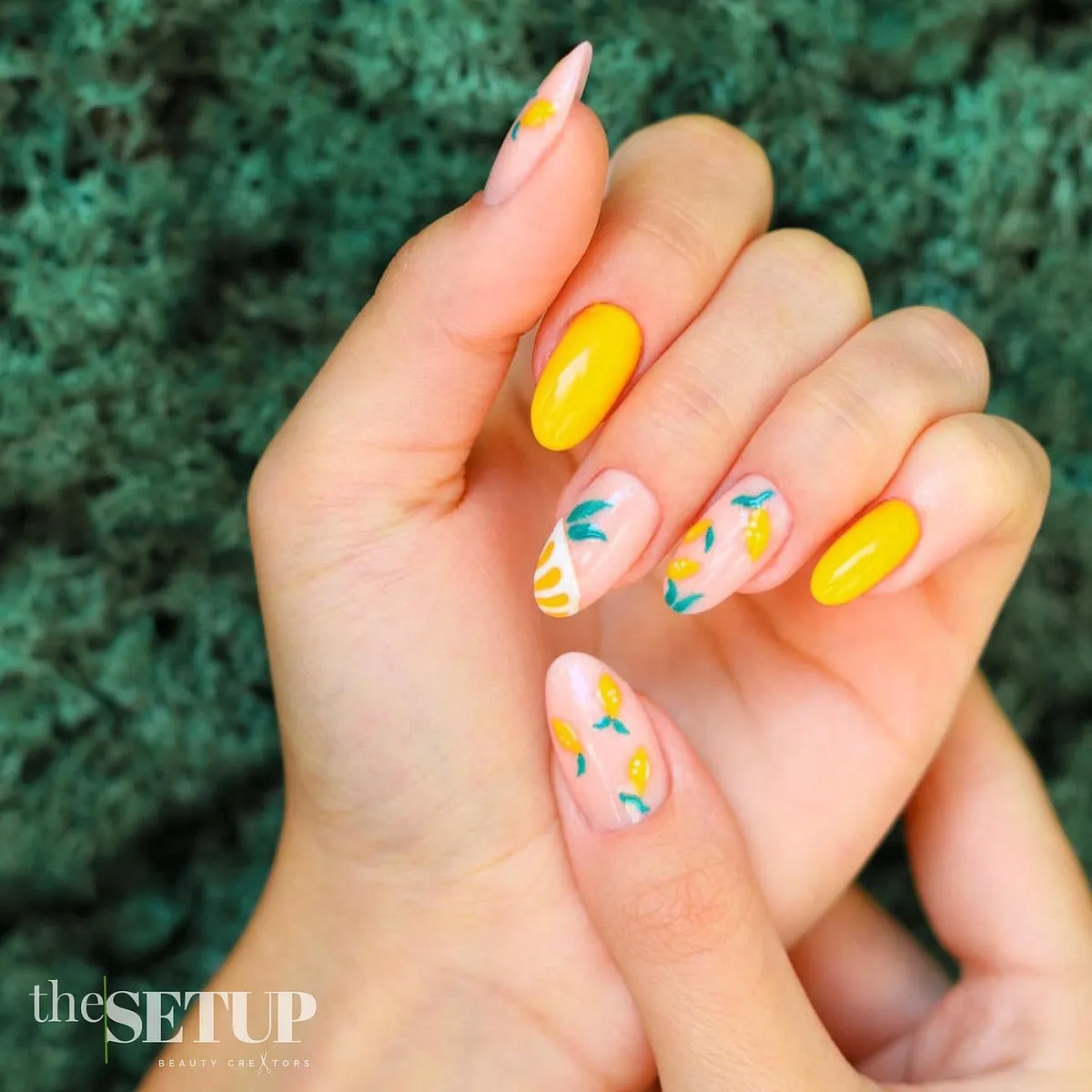 Bright yellow solids with small fruit-and-leaf accents