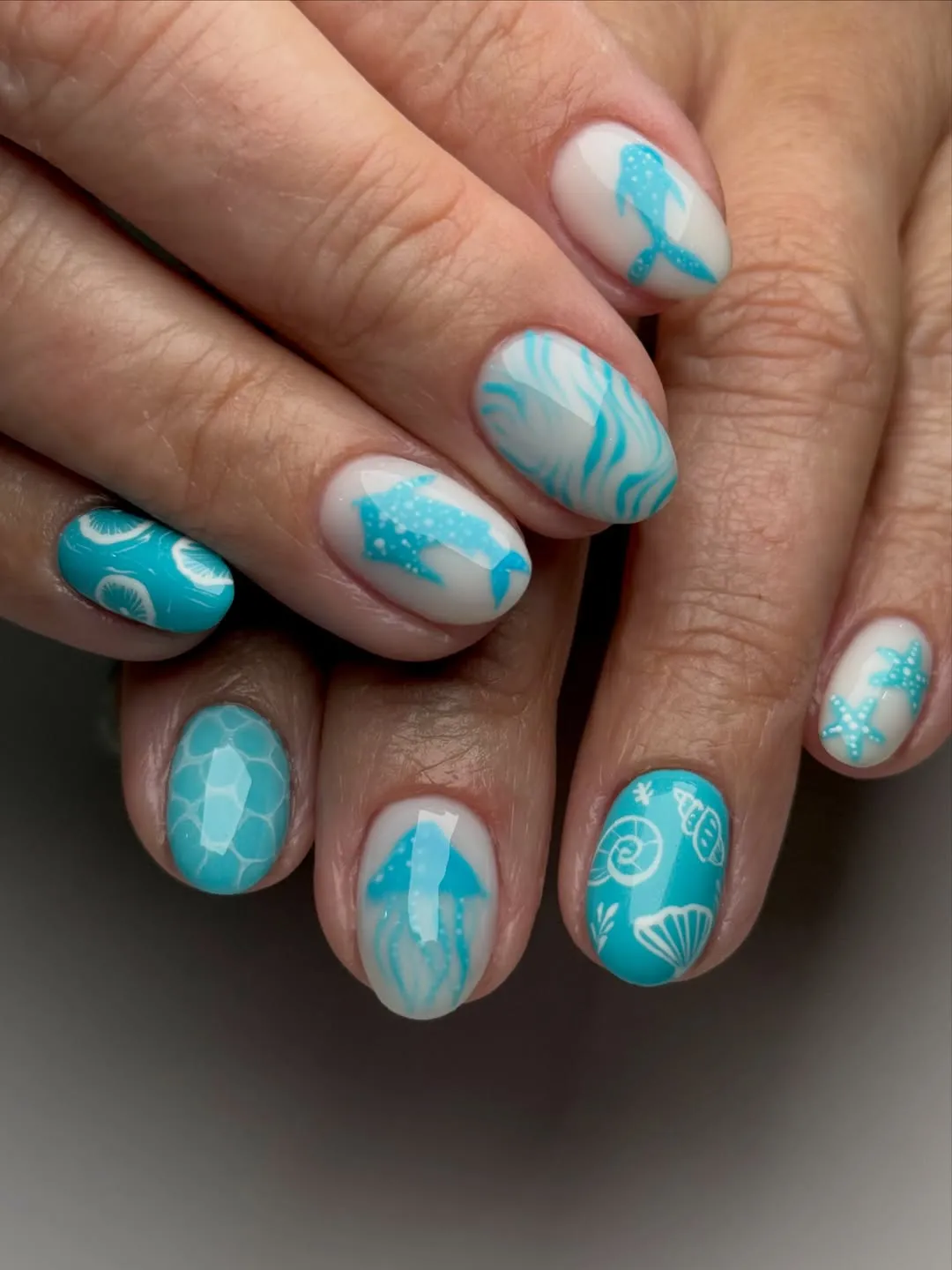 Turquoise sea-life silhouettes and wave lines