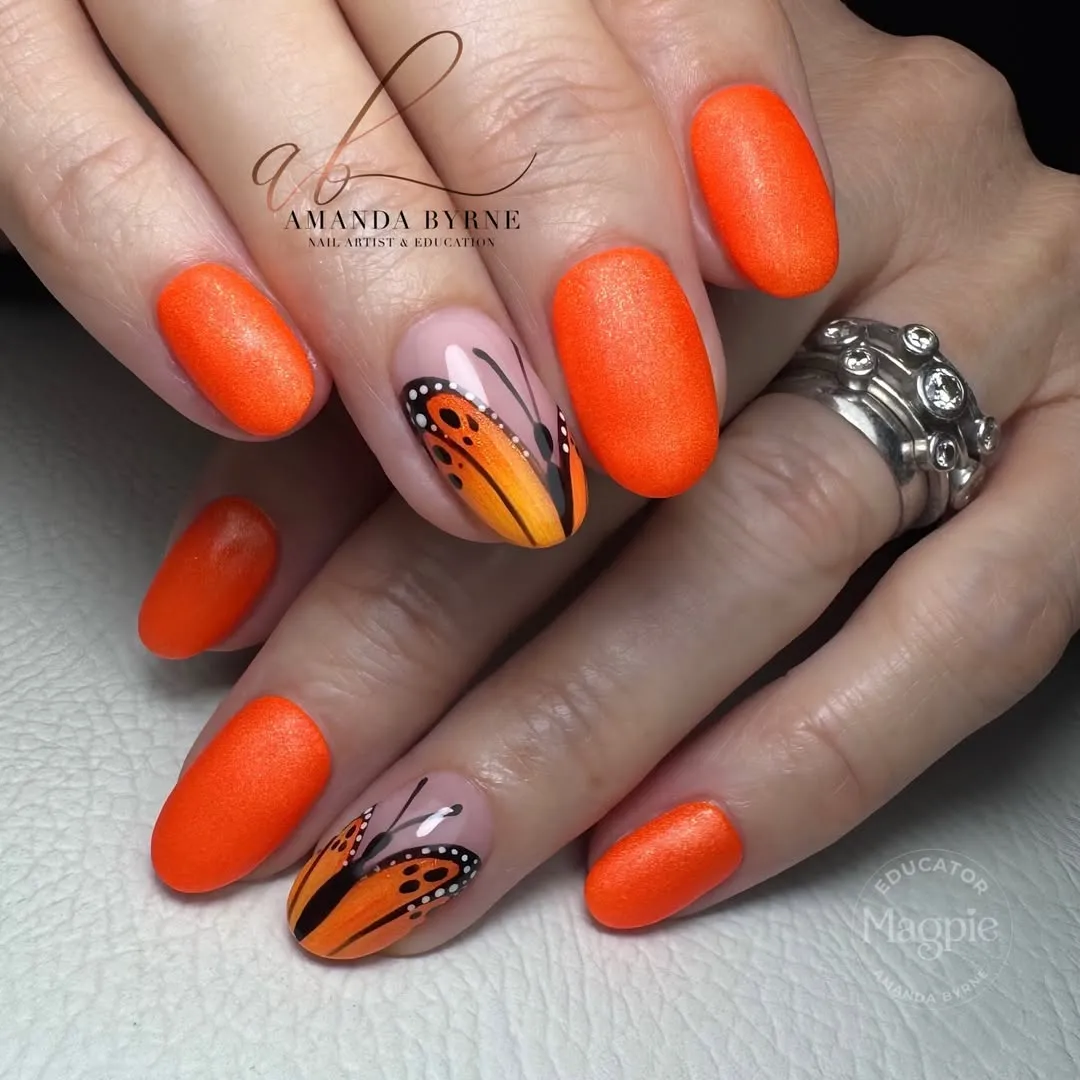 Matte bright orange with orange-black wing graphic accents