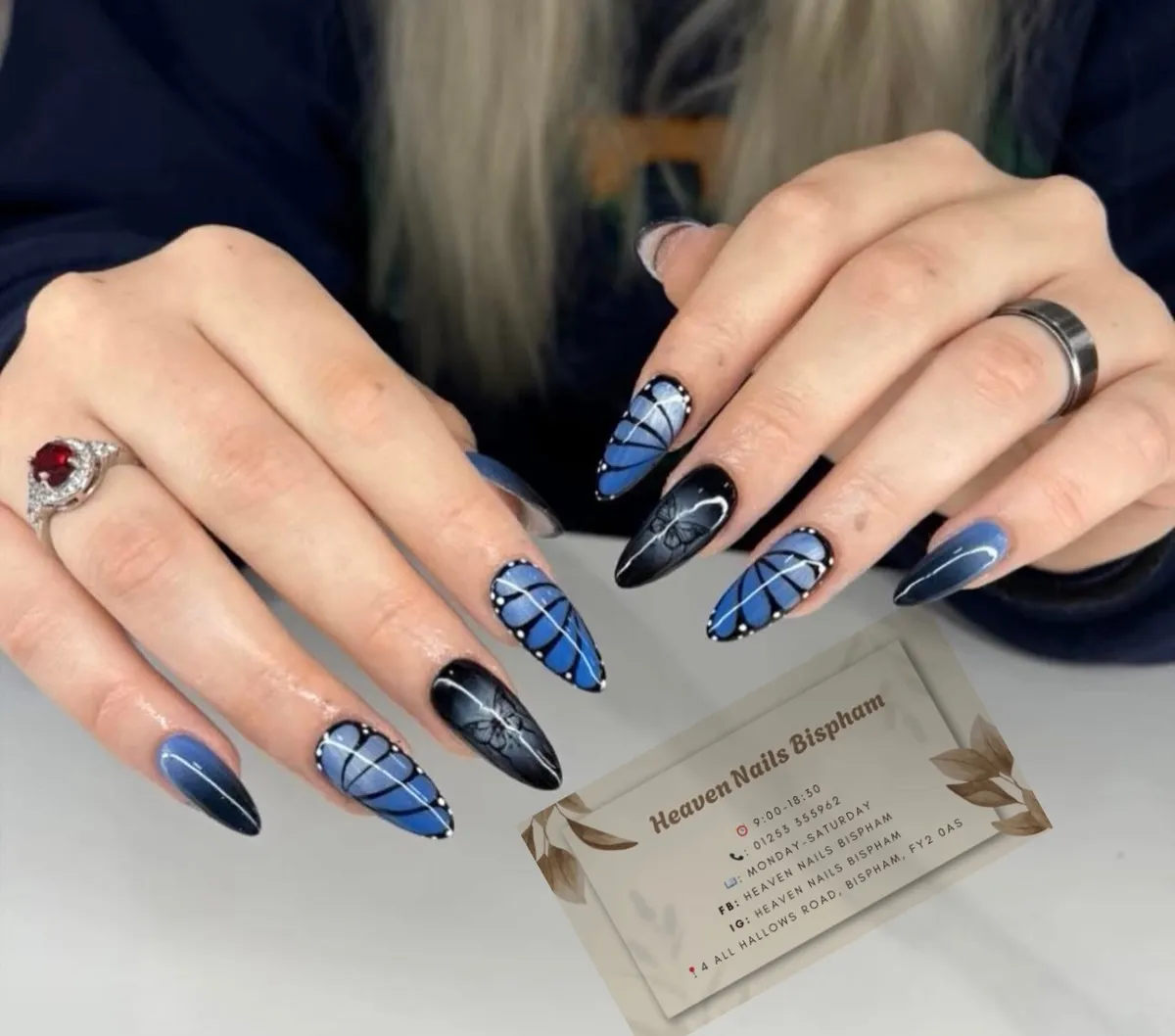 Blue-and-black wing-segment lines with dotted edging