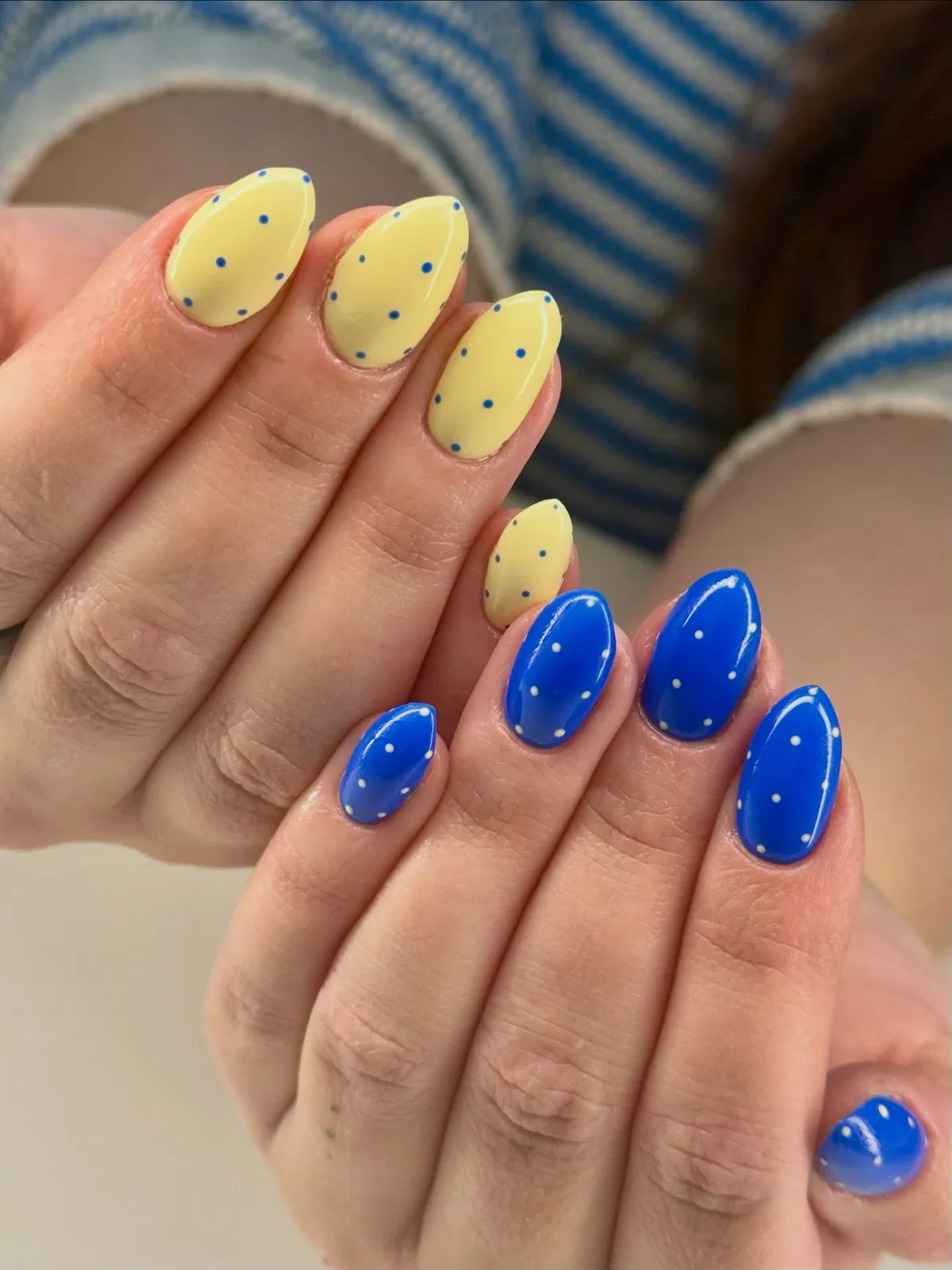 Two-tone dot set: pastel yellow and royal blue