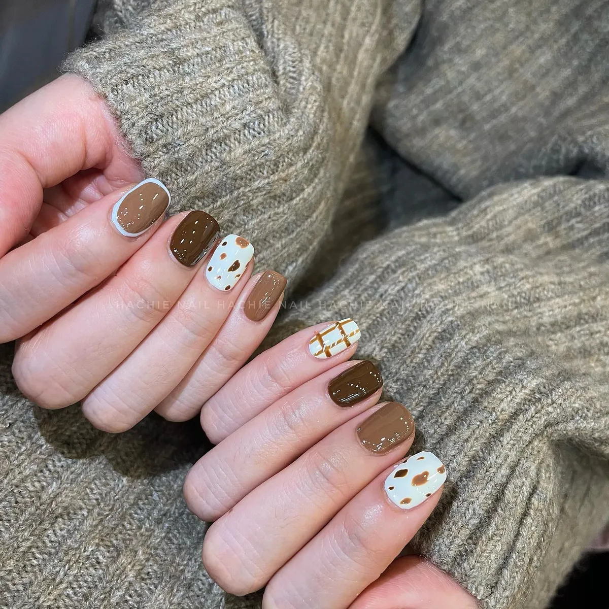 Short brown set with spotted white accents and grid pattern