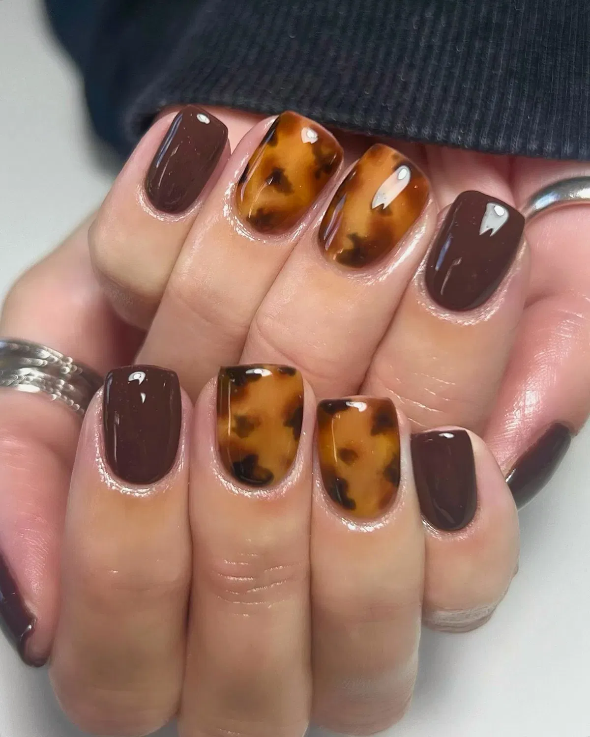 Dark Brown Solids with Amber-Brown Blotched Accents