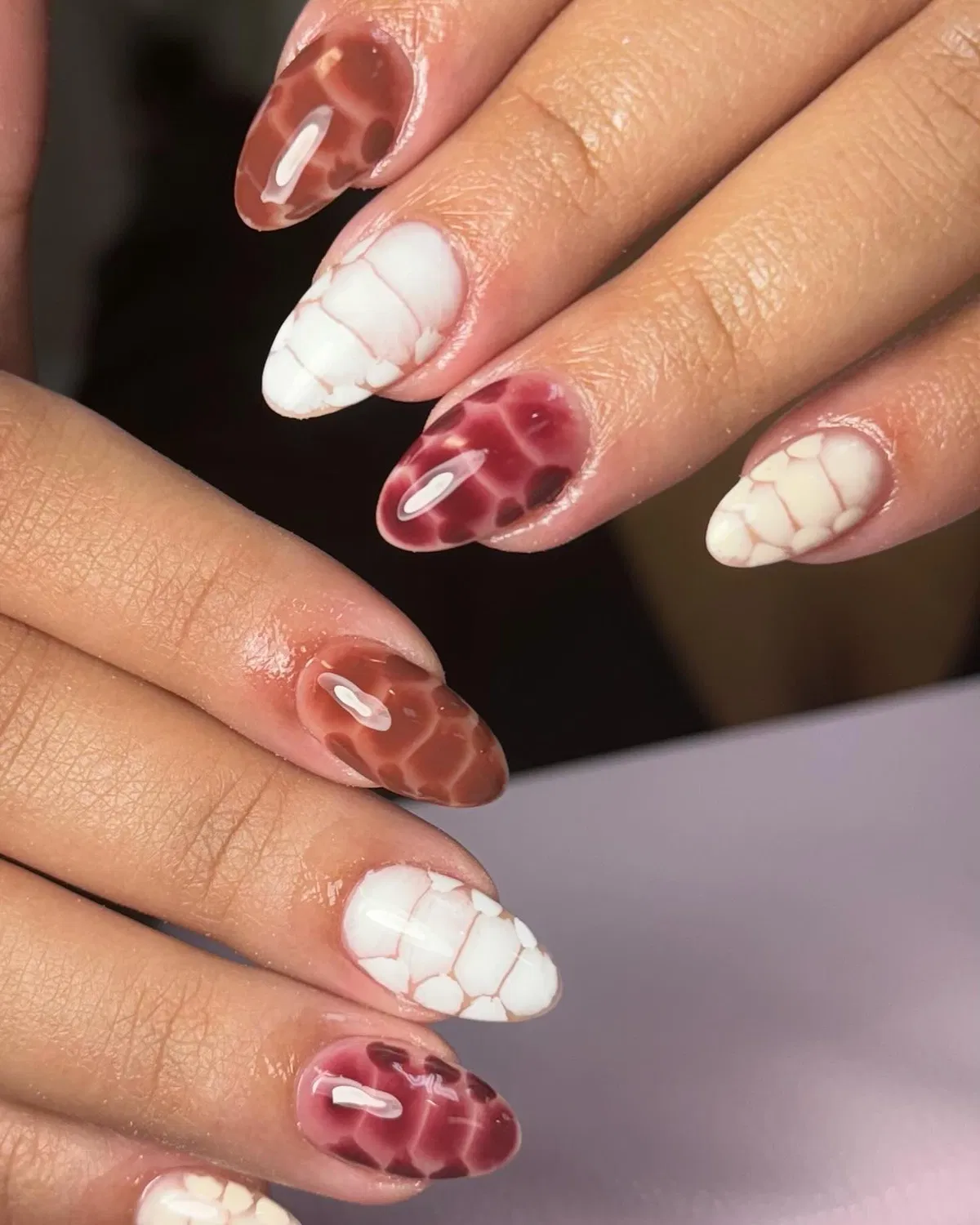 Glossy segmented white and translucent burgundy-brown pattern nails