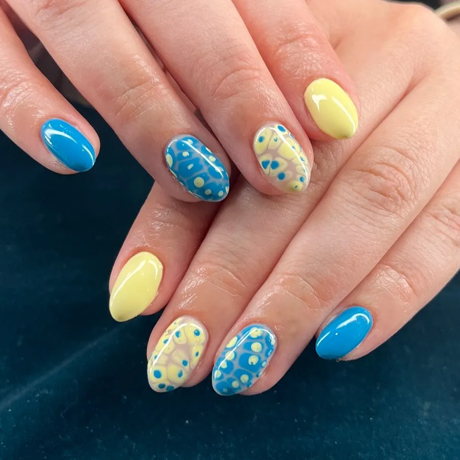 Solid Yellow/Blue with Layered Dot Accents