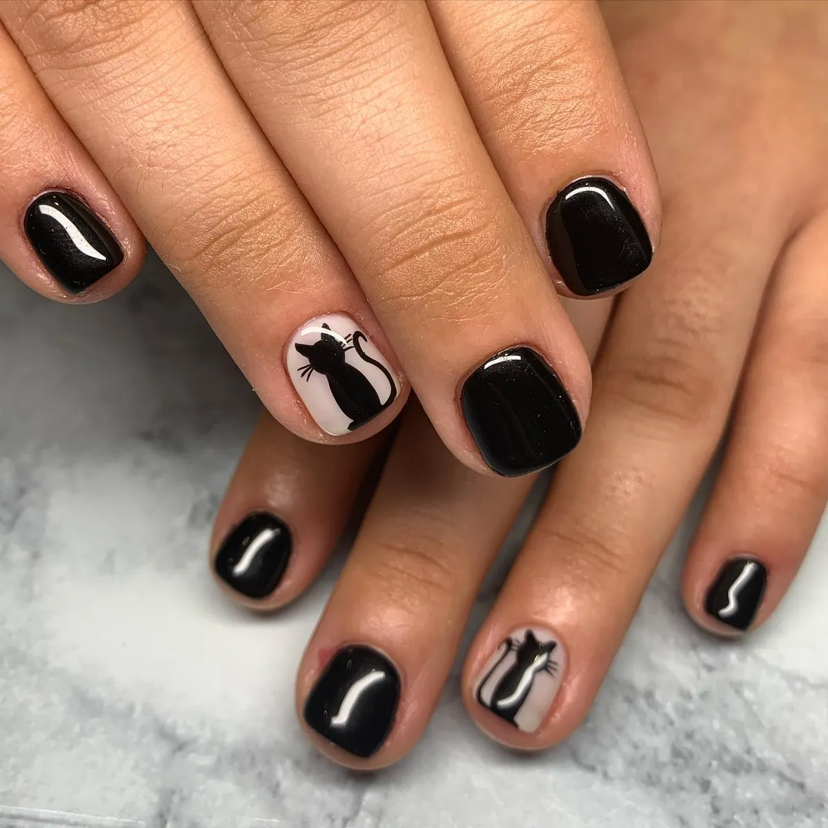 Short Glossy Black with Cat Silhouette Accents