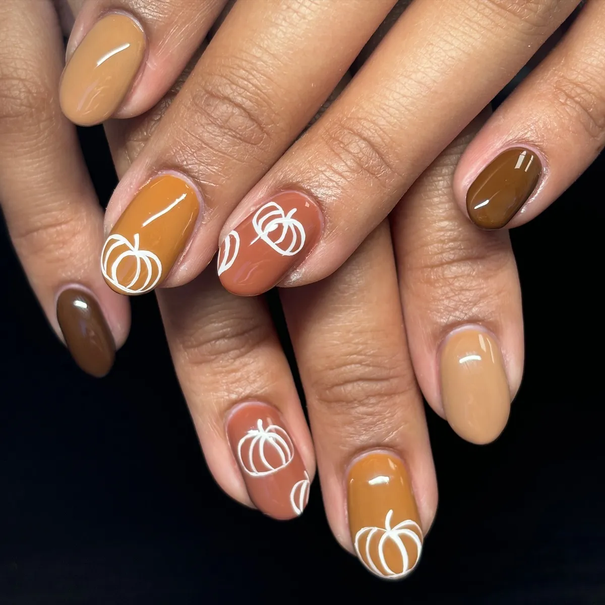 Pumpkin line art on warm solid colors