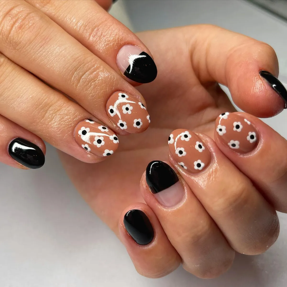Black and Tan with Small White Flower Pattern