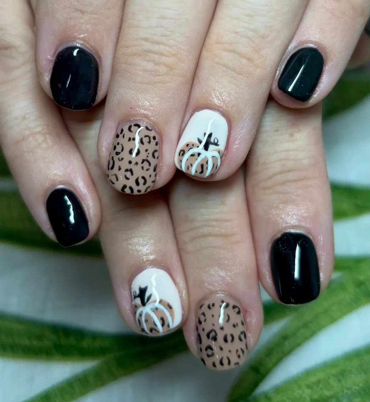 Black solids with leopard print and pumpkin accents
