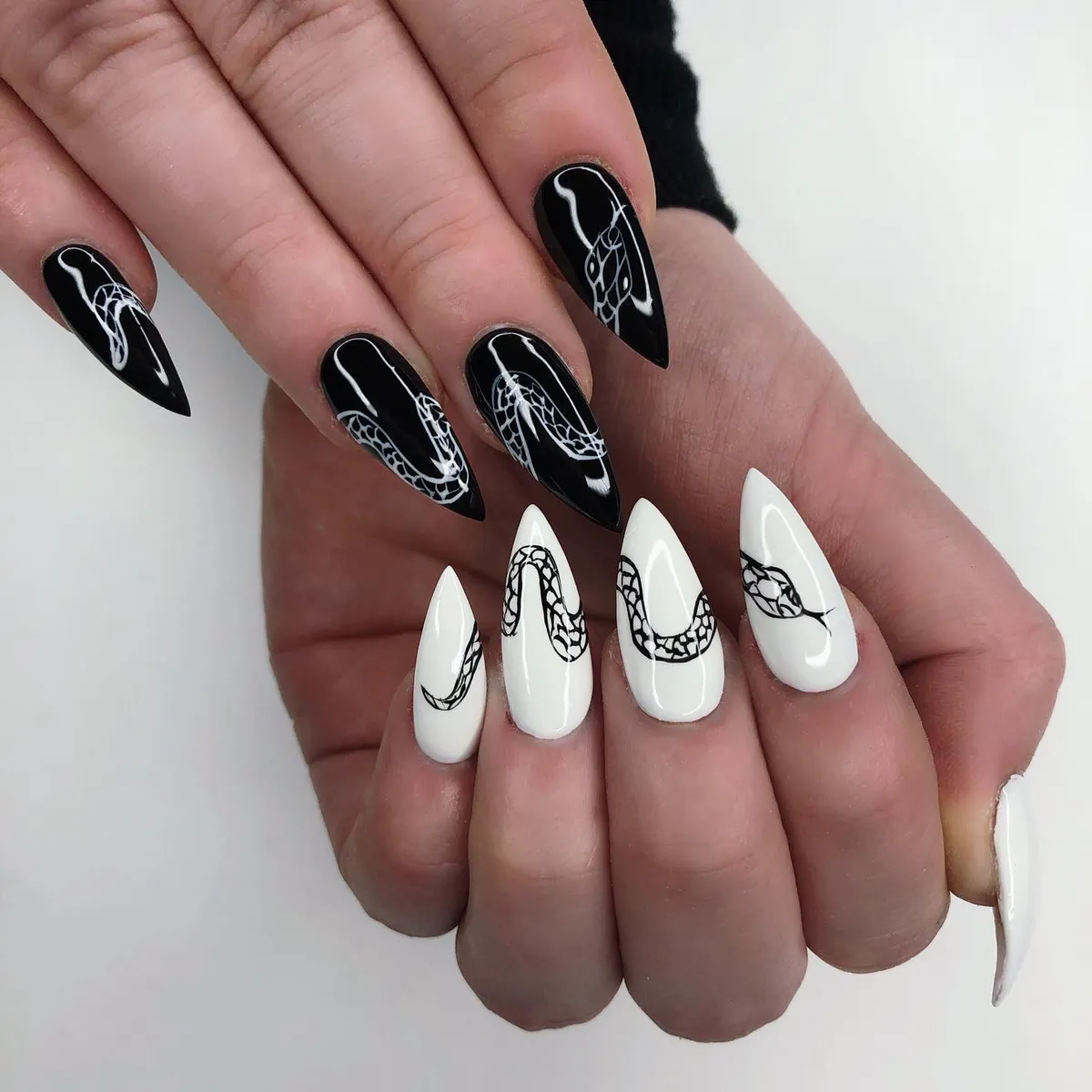 Black-and-white snake line art set