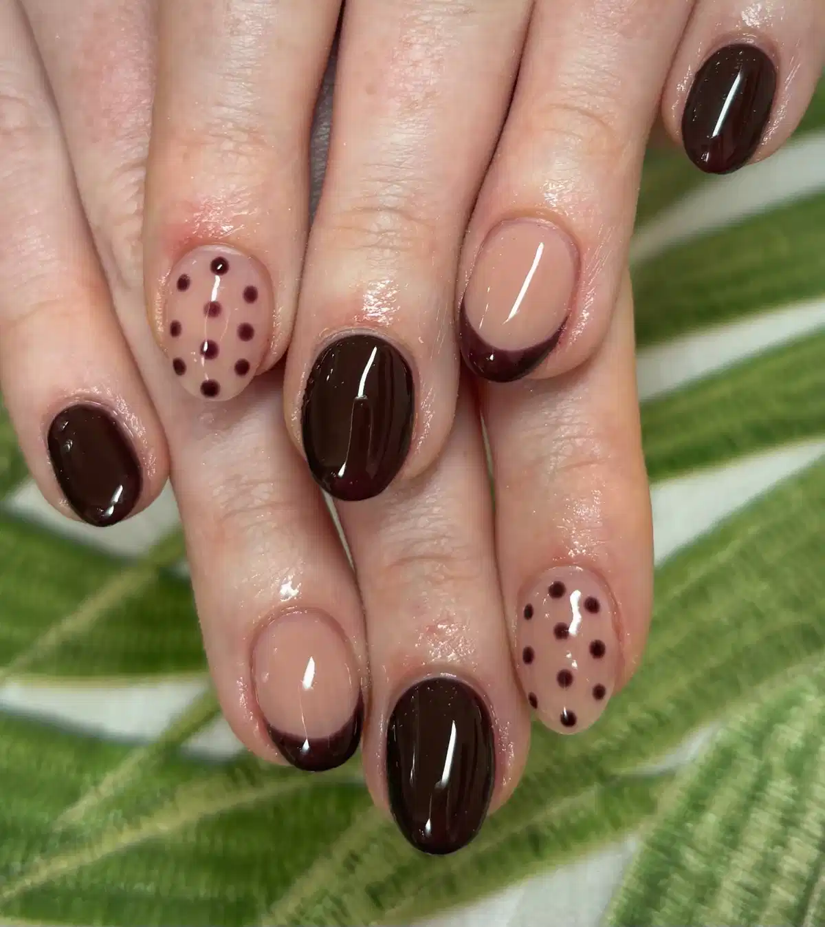 Short dark-brown French tips with dotted nude accents