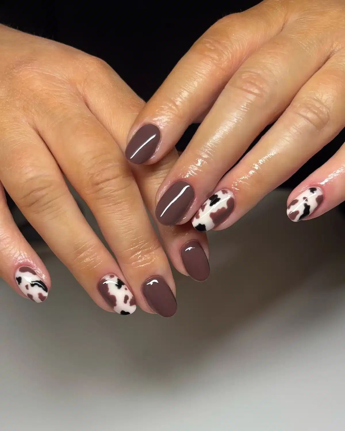 Taupe-brown solids with black-and-brown patchwork accents on white