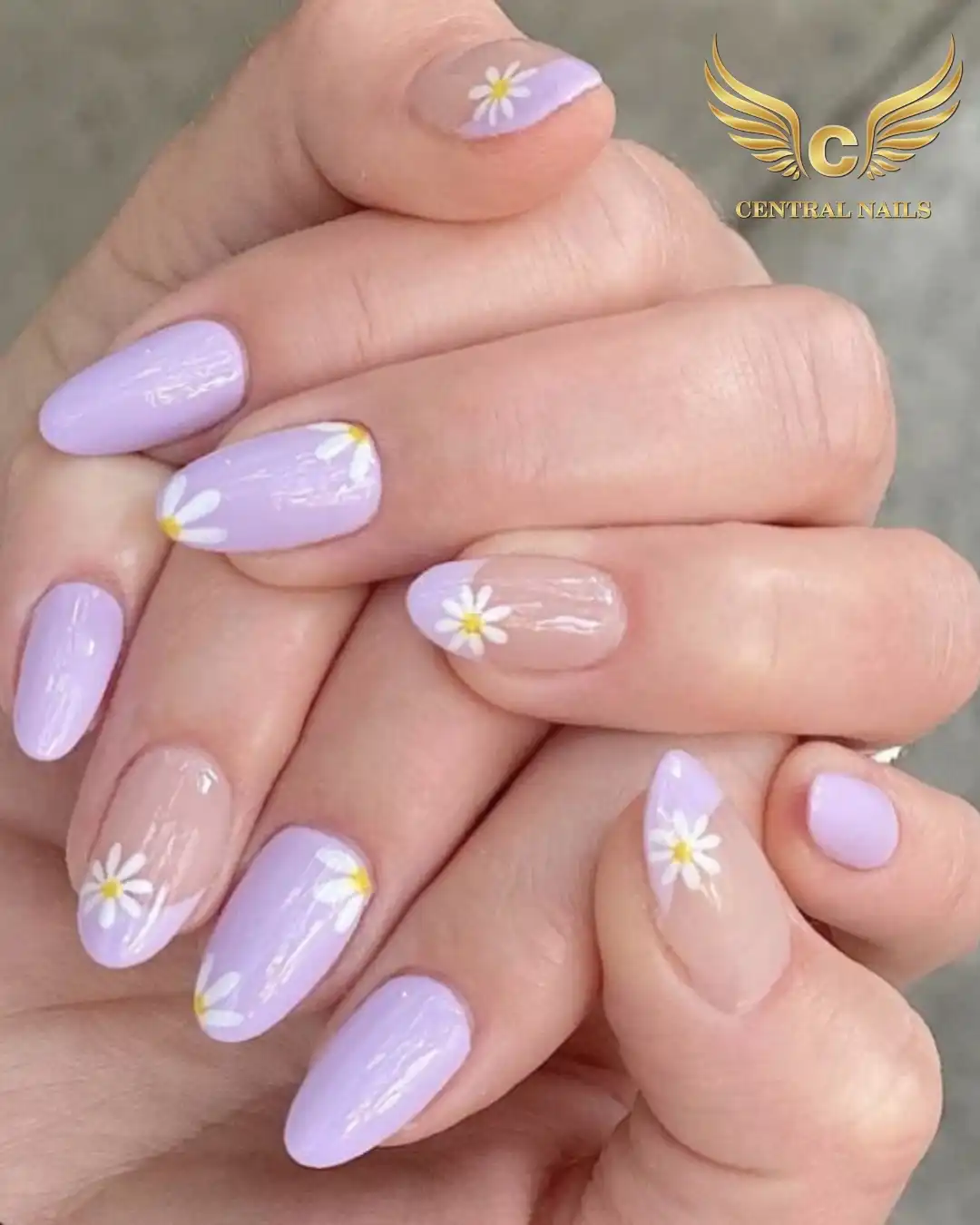Pale lavender daisies on glossy oval nails