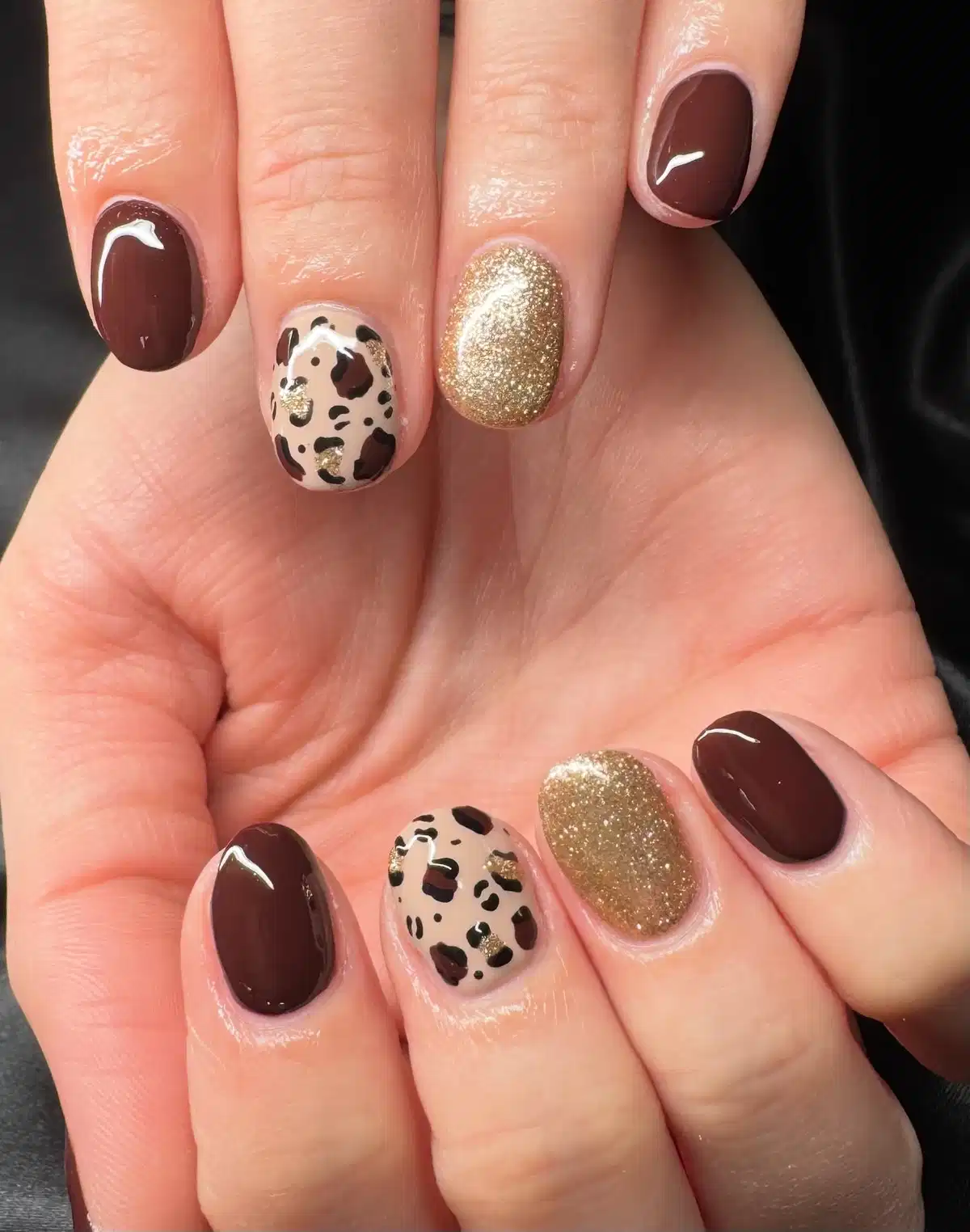 Dark brown with gold glitter and spotted accent