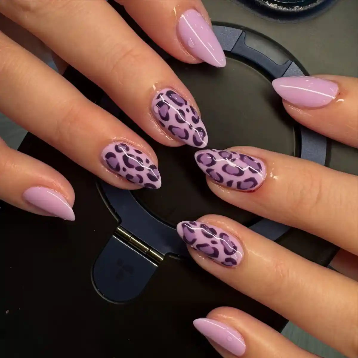Lavender solids with purple leopard print accents