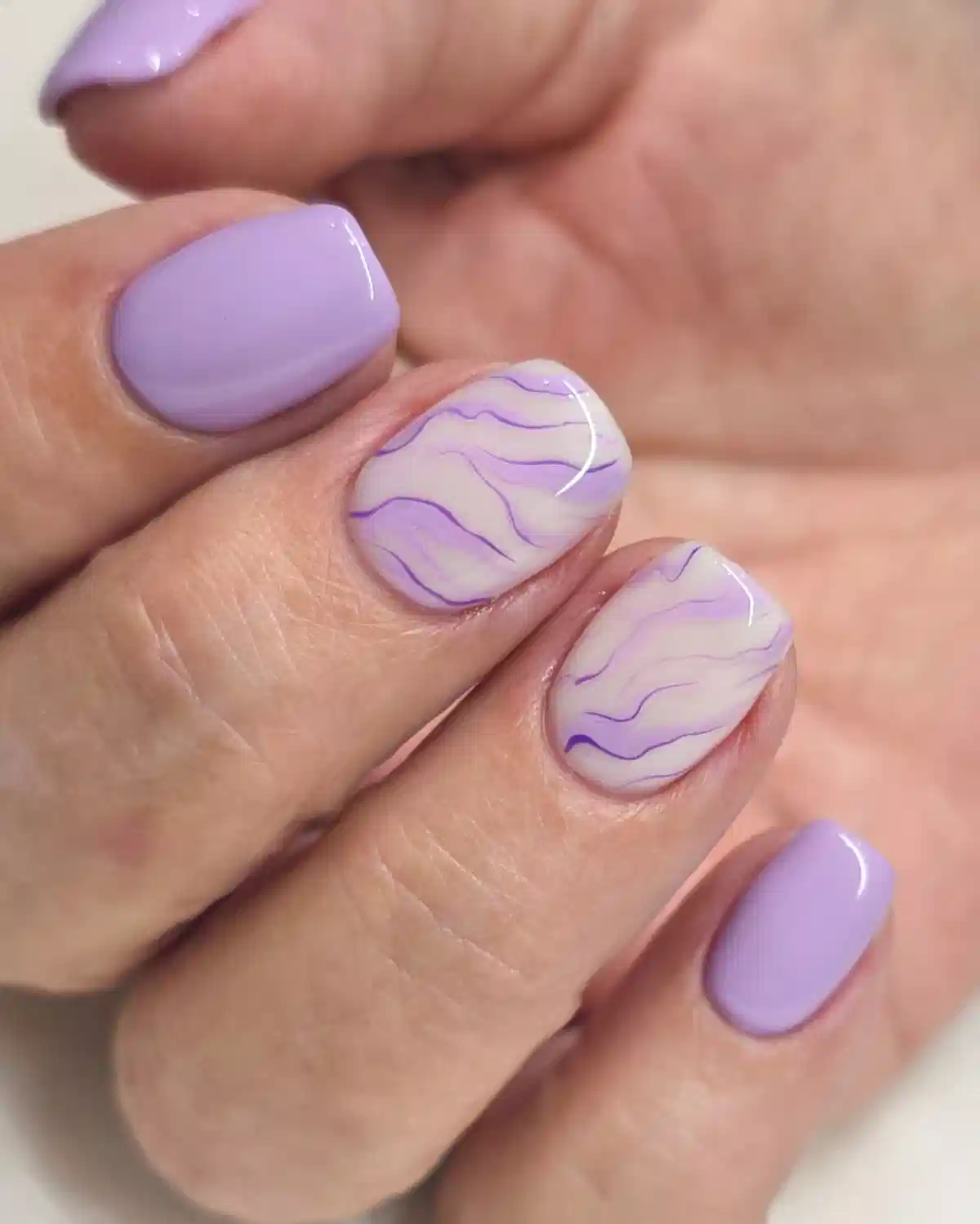Lavender Solids with Wavy Purple Line Accents
